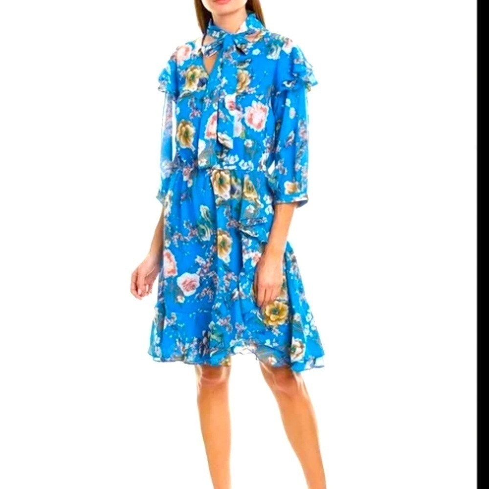 Walter Baker Blue Floral Birds Ruffled 3/4 Sleeve Blousey Dress Women's Sz 6